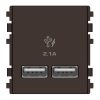 Ổ USB 2.1A đôi màu đồng	8432USB_BZ
