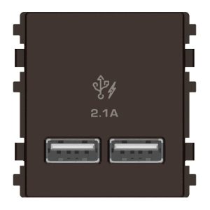 Ổ USB 2.1A đôi màu đồng	8432USB_BZ